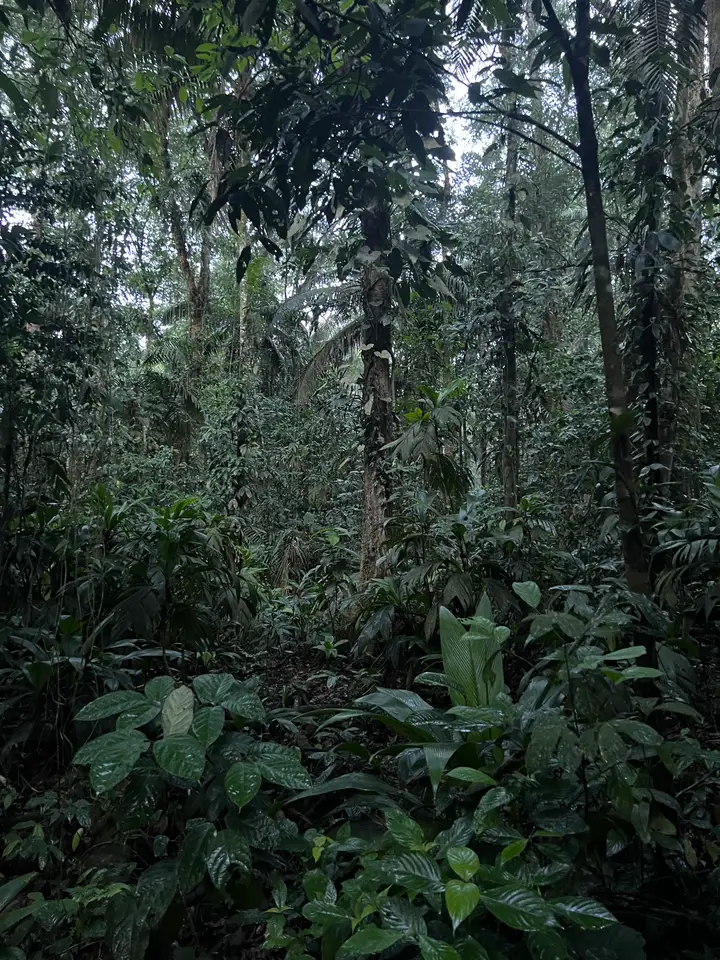 La Selva